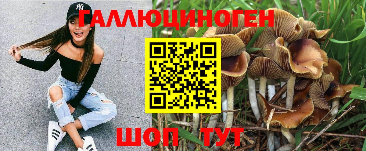 Псилоцибиновые грибы мухоморы Дзержинский